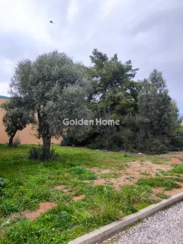 Οικιστικό 491τ.μ. προς πώληση φωτογραφία 2