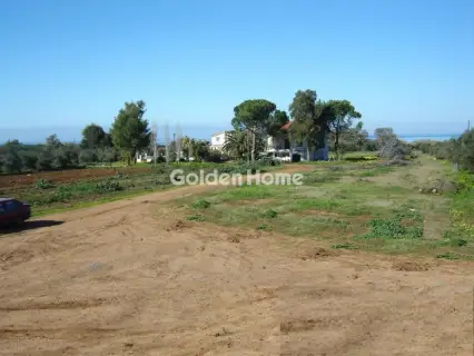Home 375m<sup>2</sup> for sale photo 5