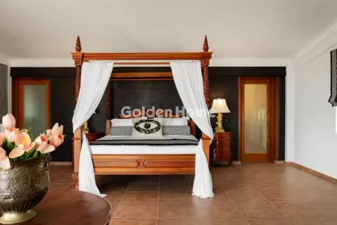 House 480m<sup>2</sup> for rent photo 58