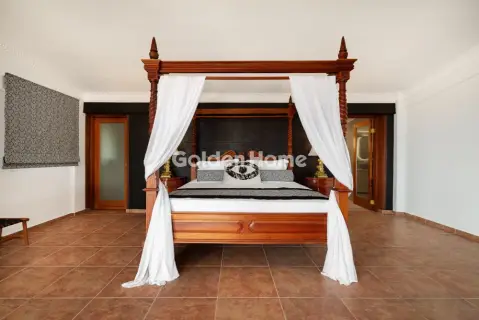 House 480m<sup>2</sup> for rent photo 57