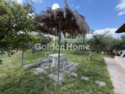 House 371m<sup>2</sup> for sale photo 5576849