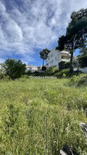 住宅 824m<sup>2</sup> for sale photo 5398780