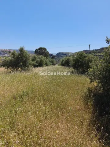 住宅 1010m<sup>2</sup> for sale photo 1