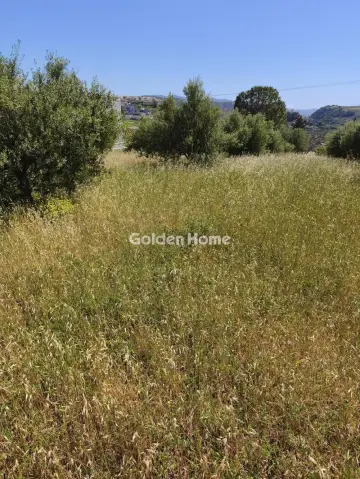 住宅 1010m<sup>2</sup> for sale photo 2