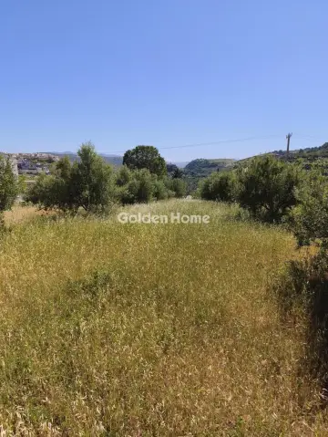 住宅 1010m<sup>2</sup> for sale photo 3