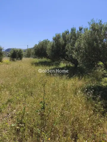 住宅 1010m<sup>2</sup> for sale photo 4