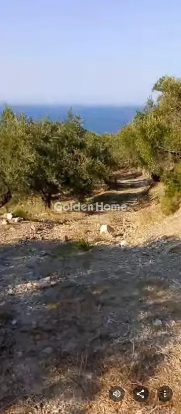 Αγροτεμάχιο 4709τ.μ. προς πώληση φωτογραφία 5404283