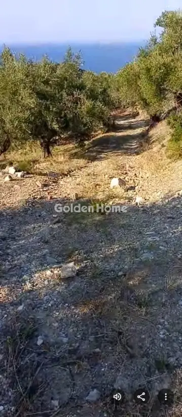 Αγροτεμάχιο 4709τ.μ. προς πώληση φωτογραφία 5404283