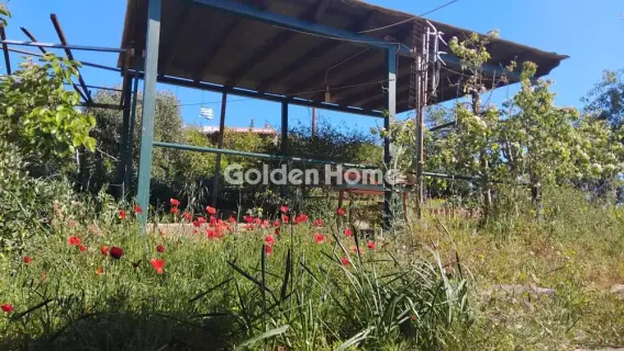 Μονοκατοικία 65τ.μ. προς πώληση φωτογραφία 2