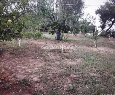 Μονοκατοικία 65τ.μ. προς πώληση φωτογραφία 22