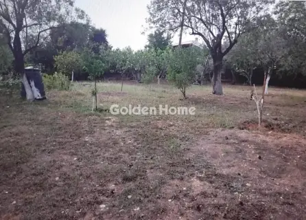 Μονοκατοικία 65τ.μ. προς πώληση φωτογραφία 23