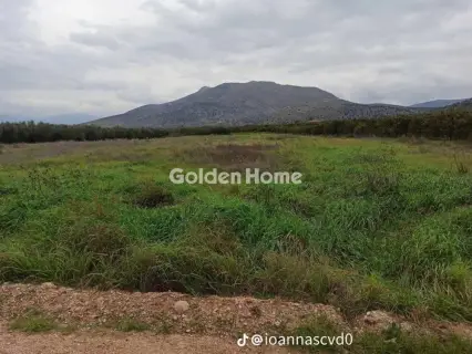 Οικιστικό 8500τ.μ. προς πώληση φωτογραφία 5405139