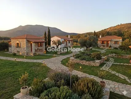 Οικιστικό 8500τ.μ. προς πώληση φωτογραφία 5405139