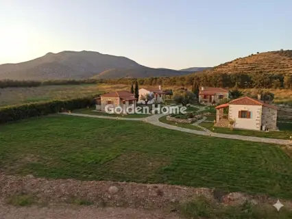 Οικιστικό 8500τ.μ. προς πώληση φωτογραφία 5405139