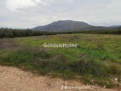 Οικιστικό 8500τ.μ. προς πώληση φωτογραφία 5405139