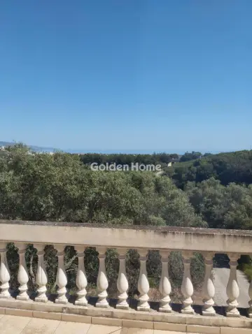 公寓 66m<sup>2</sup> for sale photo 8