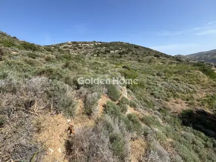 Αγροτεμάχιο 5378τ.μ. προς πώληση φωτογραφία 5403420