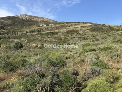 Αγροτεμάχιο 5378τ.μ. προς πώληση φωτογραφία 5403421