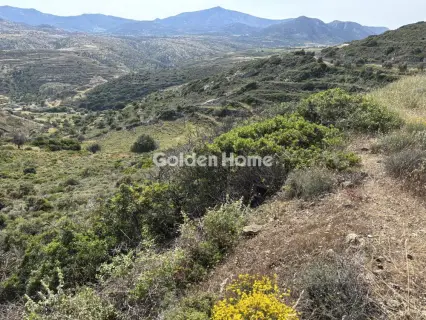 Αγροτεμάχιο 5378τ.μ. προς πώληση φωτογραφία 5403421