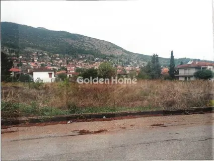 Οικιστικό 1190τ.μ. προς πώληση φωτογραφία 3