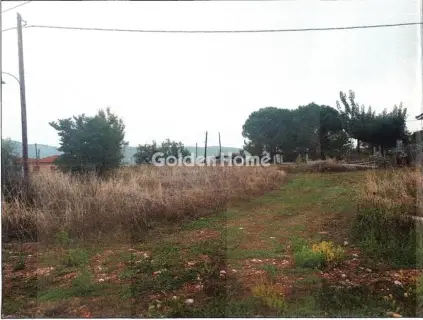 Οικιστικό 1190τ.μ. προς πώληση φωτογραφία 4