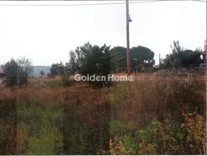 Οικιστικό 1190τ.μ. προς πώληση φωτογραφία 5