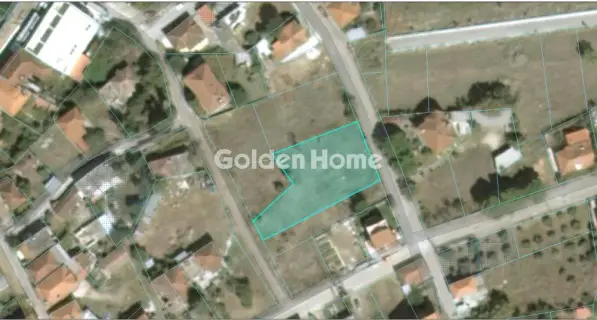 Οικιστικό 1190τ.μ. προς πώληση φωτογραφία 6