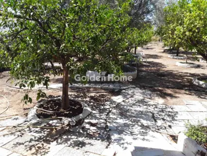 Μονοκατοικία 100τ.μ. προς πώληση φωτογραφία 1