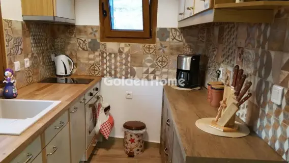 Μονοκατοικία 103τ.μ. προς ενοικίαση φωτογραφία 5404540