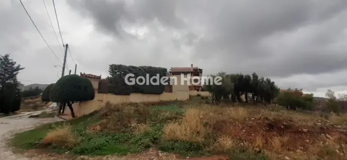 独立复式小屋 411m<sup>2</sup> for sale photo 1