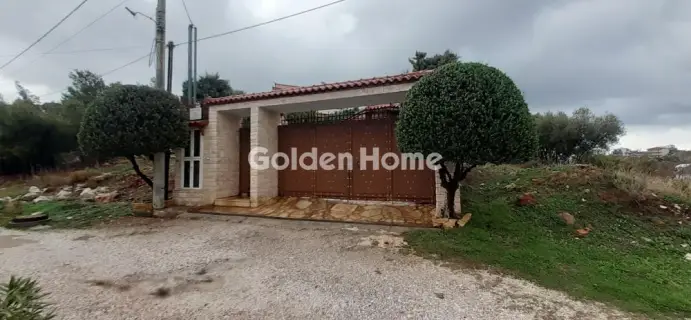 独立复式小屋 411m<sup>2</sup> for sale photo 2