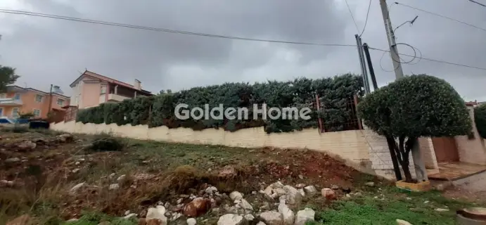 独立复式小屋 411m<sup>2</sup> for sale photo 3