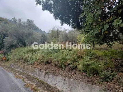 Αγροτεμάχιο 696τ.μ. προς πώληση φωτογραφία 5404992