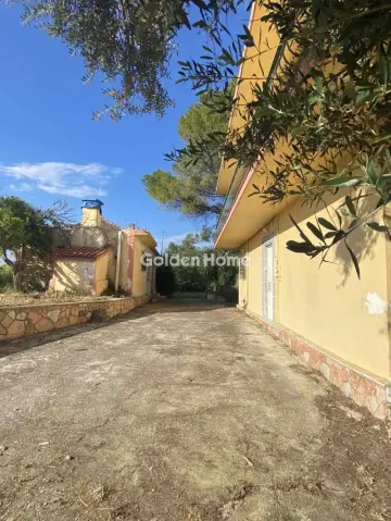 独立复式小屋 300m<sup>2</sup> for sale photo 20