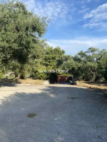 独立复式小屋 300m<sup>2</sup> for sale photo 21