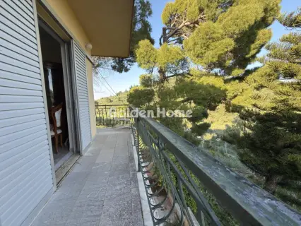 独立复式小屋 300m<sup>2</sup> for sale photo 14