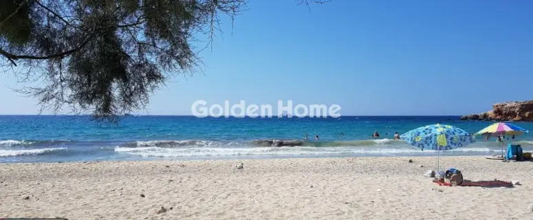 Αγροτεμάχιο 146797τ.μ. προς πώληση φωτογραφία 3