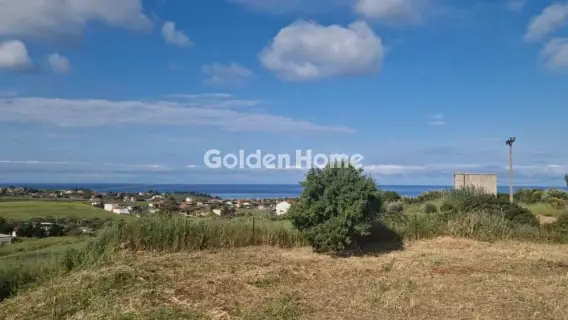 Αγροτεμάχιο 1734τ.μ. προς πώληση φωτογραφία 3