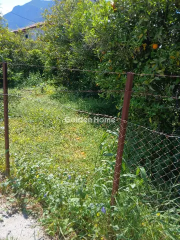 Residential 484m<sup>2</sup> for sale photo 5408936