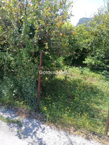 Residential 484m<sup>2</sup> for sale photo 5408938