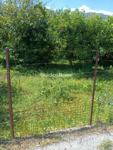Residential 484m<sup>2</sup> for sale photo 5408938