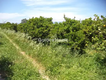 Parcel 4626m<sup>2</sup> for sale photo 5408949