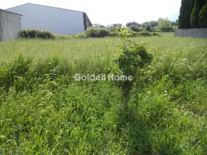 Residential 443m<sup>2</sup> for sale photo 5408958