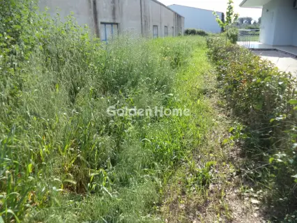 Residential 443m<sup>2</sup> for sale photo 5408961