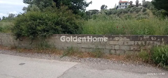Οικιστικό 4013τ.μ. προς πώληση φωτογραφία 5410166