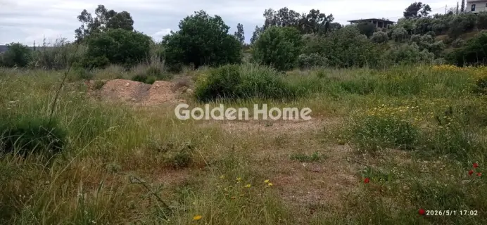Οικιστικό 4013τ.μ. προς πώληση φωτογραφία 5410167