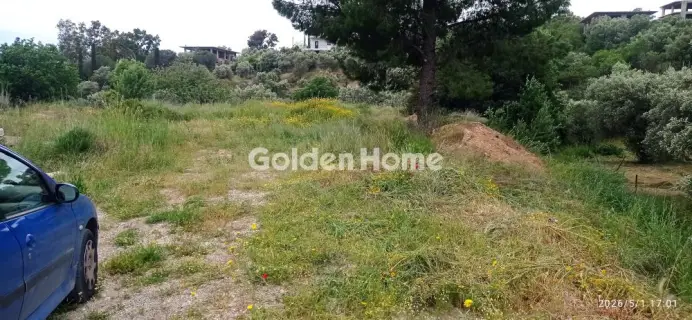 Οικιστικό 4013τ.μ. προς πώληση φωτογραφία 5410168