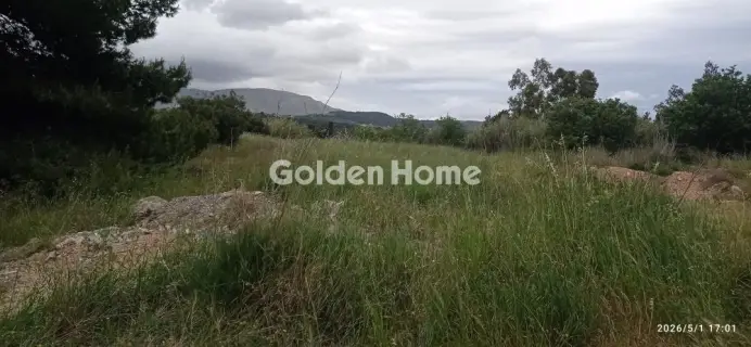 Οικιστικό 4013τ.μ. προς πώληση φωτογραφία 5410169