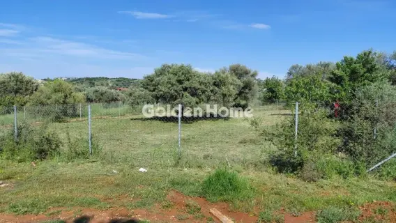 Residential 613m<sup>2</sup> for sale photo 4