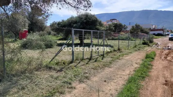 Residential 613m<sup>2</sup> for sale photo 5